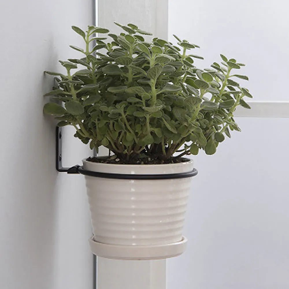 Flower Pot Trays Wall Mounted Pot Ring Holder Metal Planter Hooks Hangers Wall Bracket Plant  storage rack Garden