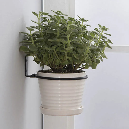 Flower Pot Trays Wall Mounted Pot Ring Holder Metal Planter Hooks Hangers Wall Bracket Plant  storage rack Garden